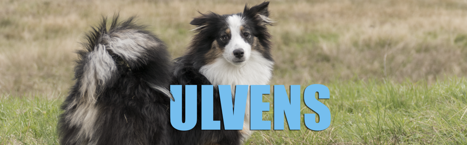 ULVENS